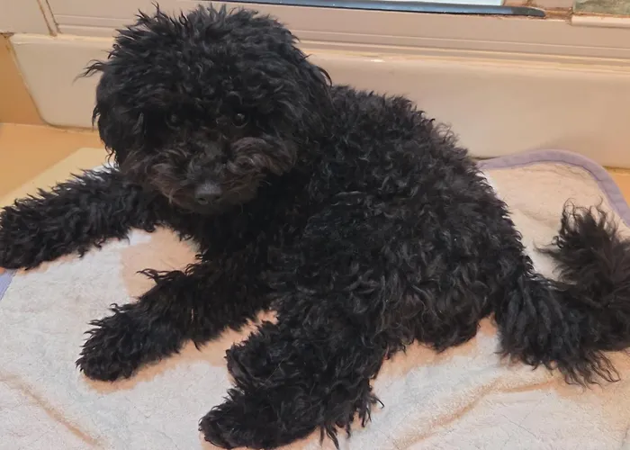 Elion לינה וארוחת בוקר